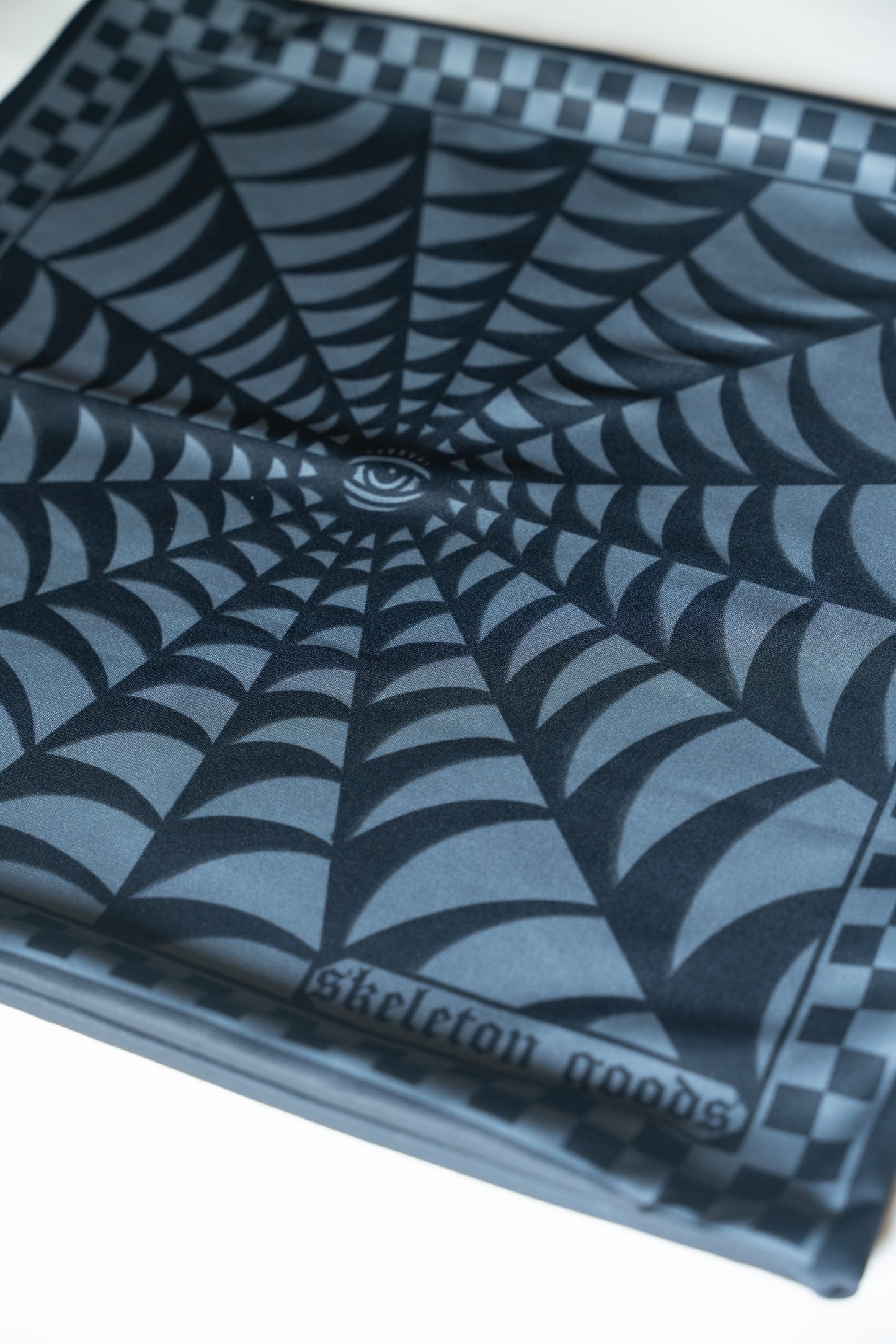 Spider Web Throw Pillow Case